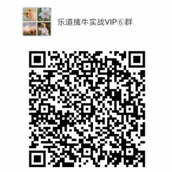 乐道擒牛实战VIP⑥群